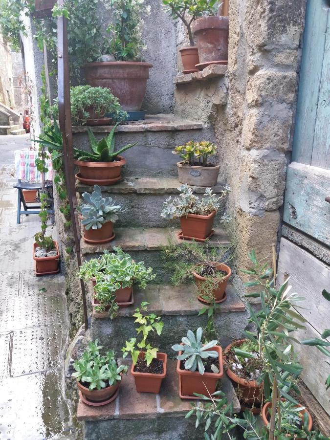 Ferienwohnung La Bico' Pitigliano Exterior foto